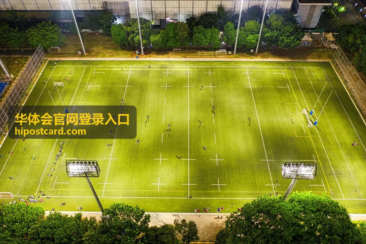 华体会官网登录入口登录页面示意图