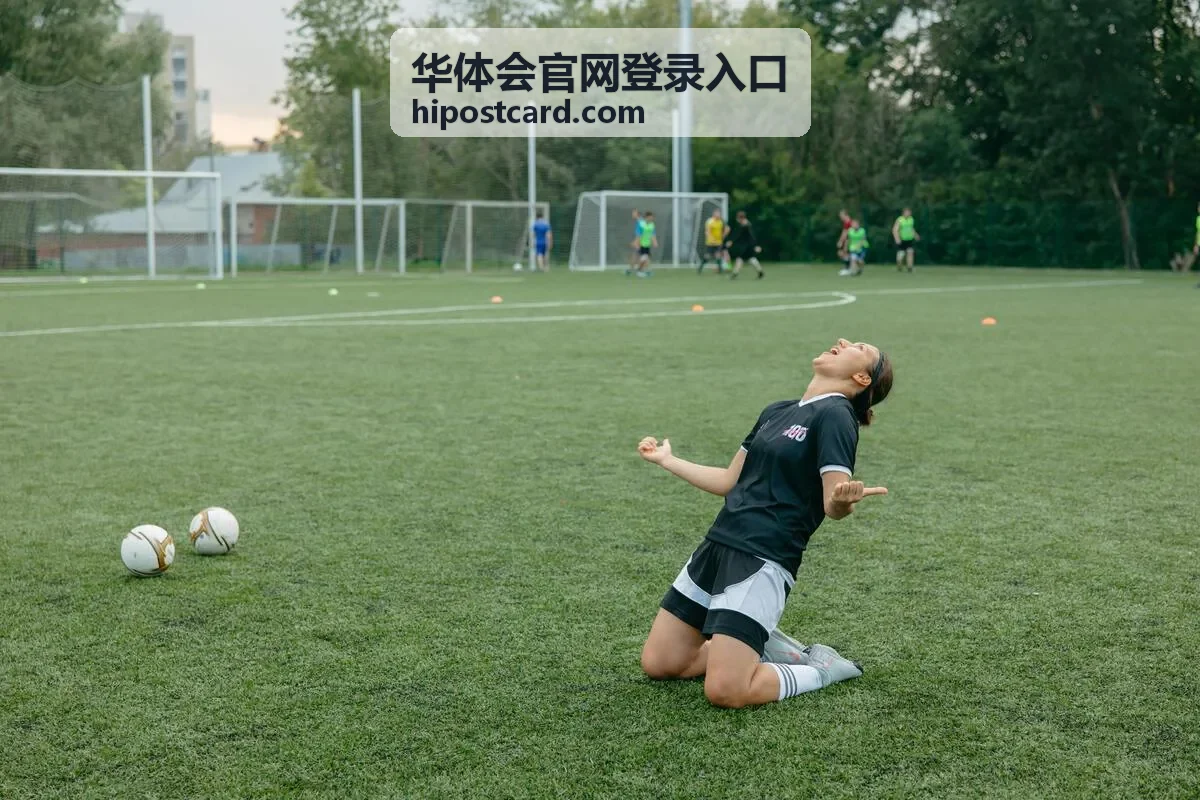 华体会官网登录入口活动周期安排示意